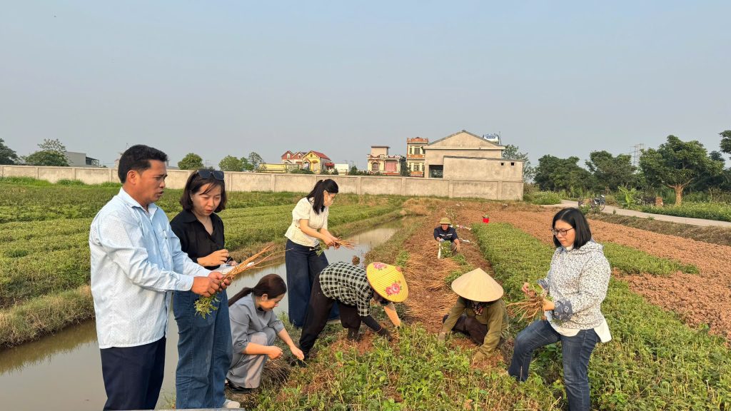 Khảo sát đồng ruộng